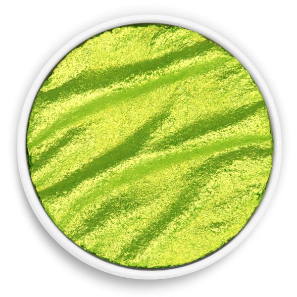 Coliro Lime Pearlcolor 珍珠石灰 时尚配色 装饰涂料 墙面漆 艺术颜料